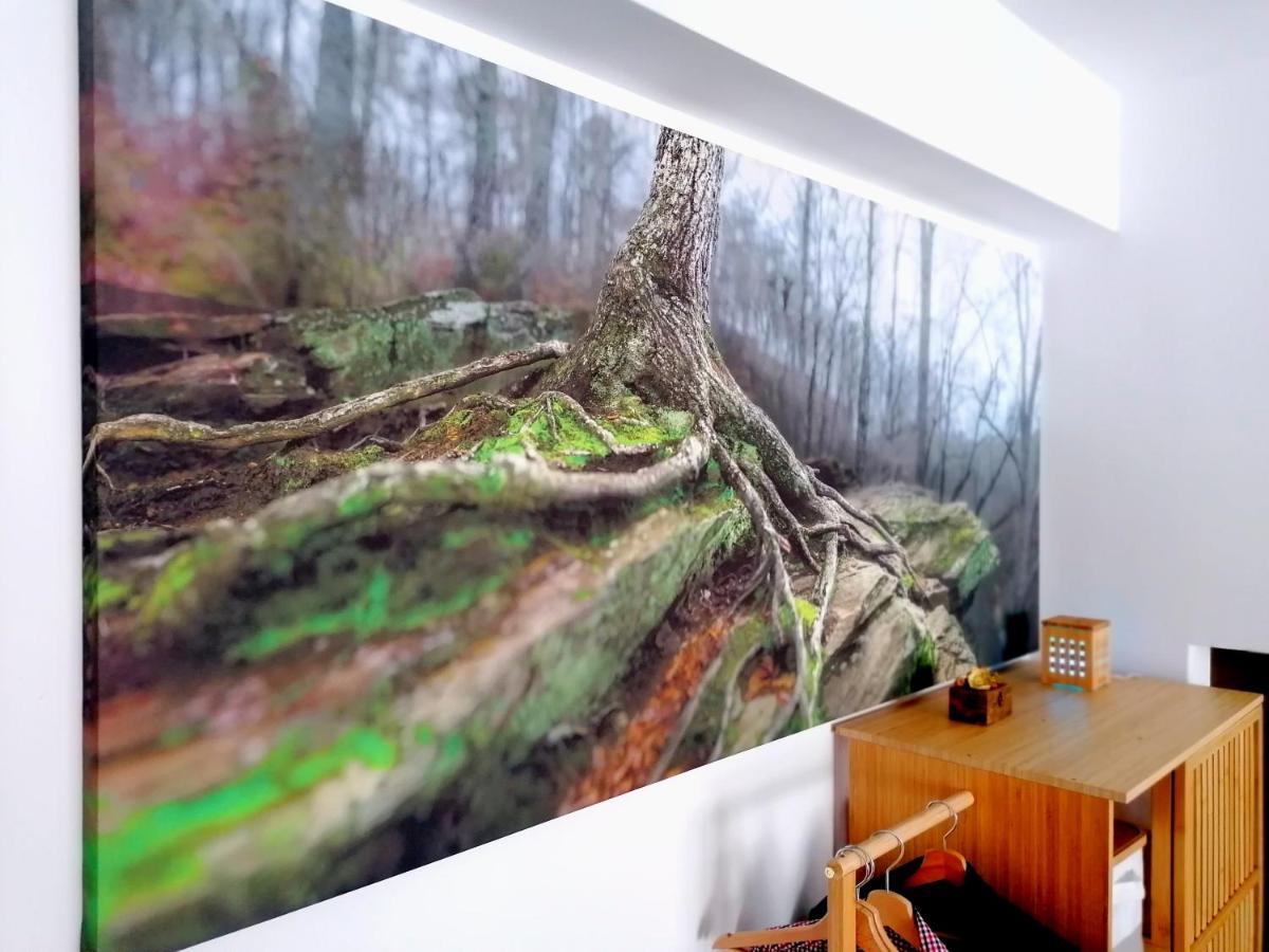 Wooden Touch Studio Brašov Exteriér fotografie